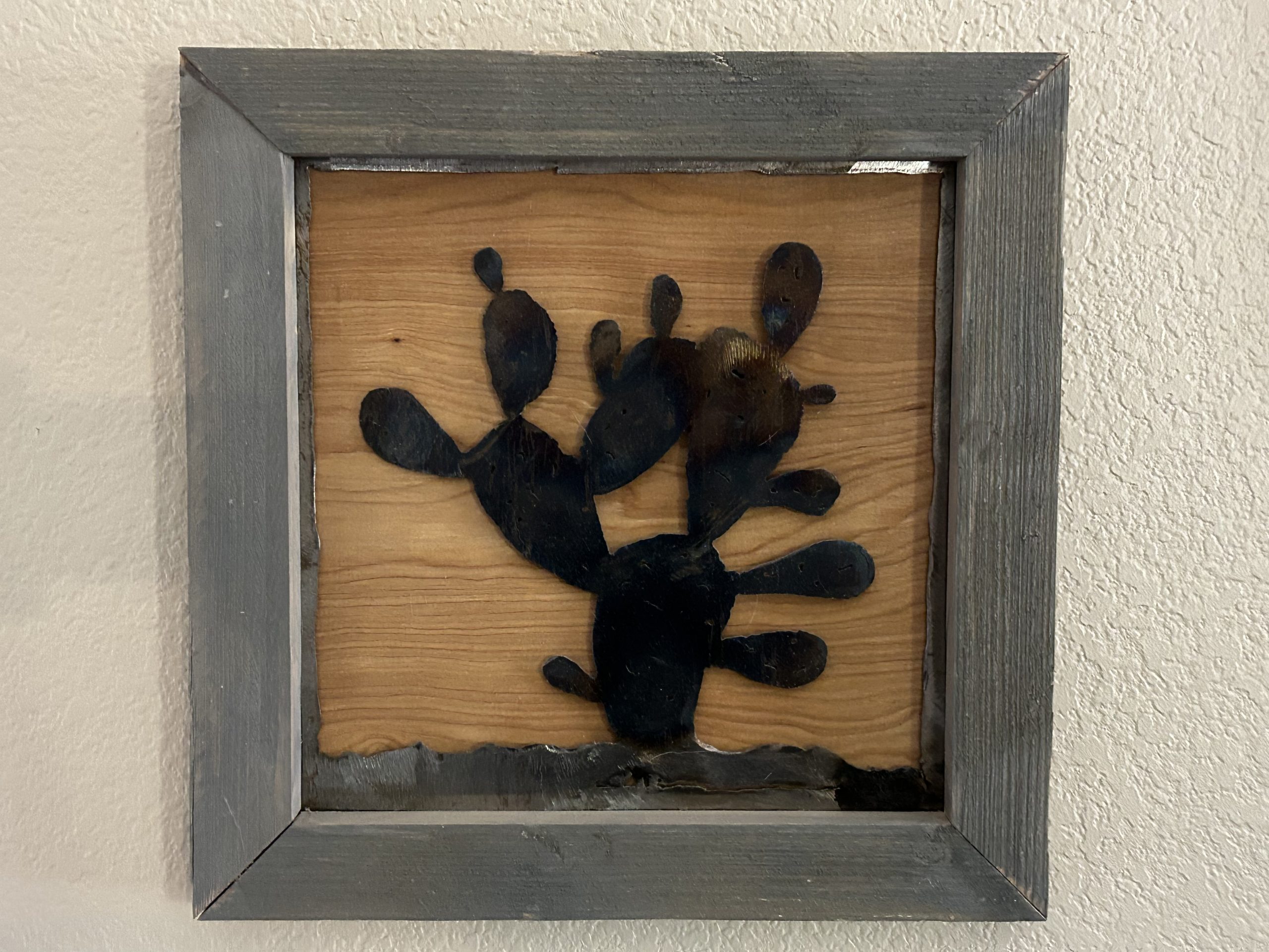 Paddle Cactus